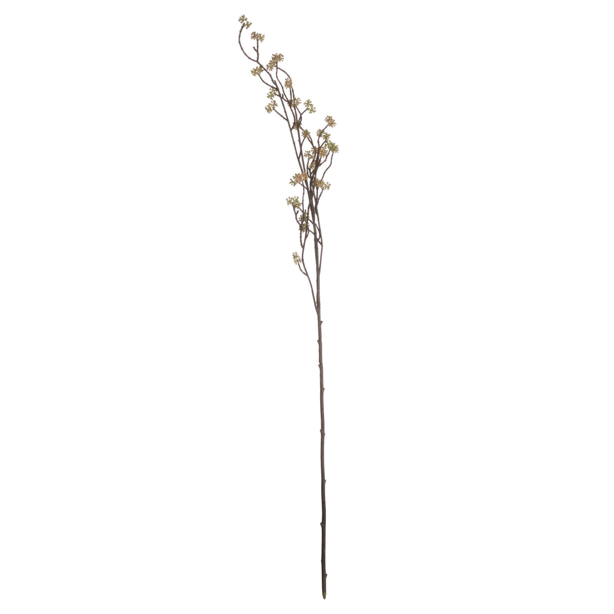 branch in bloom filler