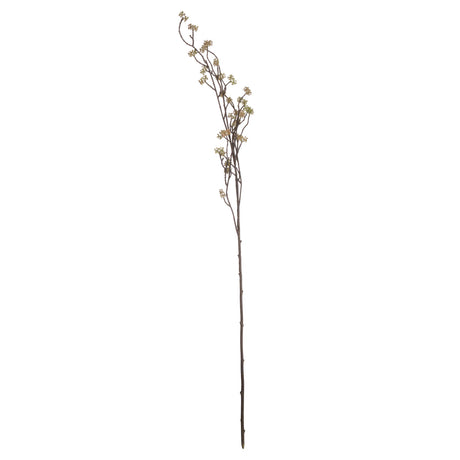 branch in bloom filler