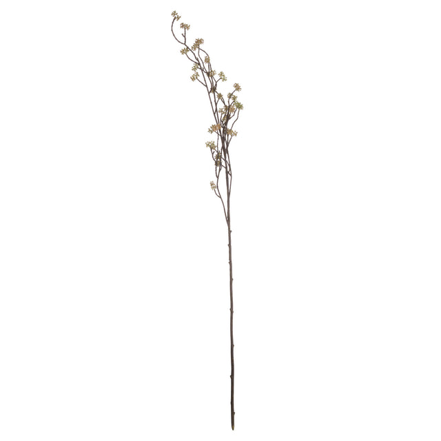 branch in bloom filler