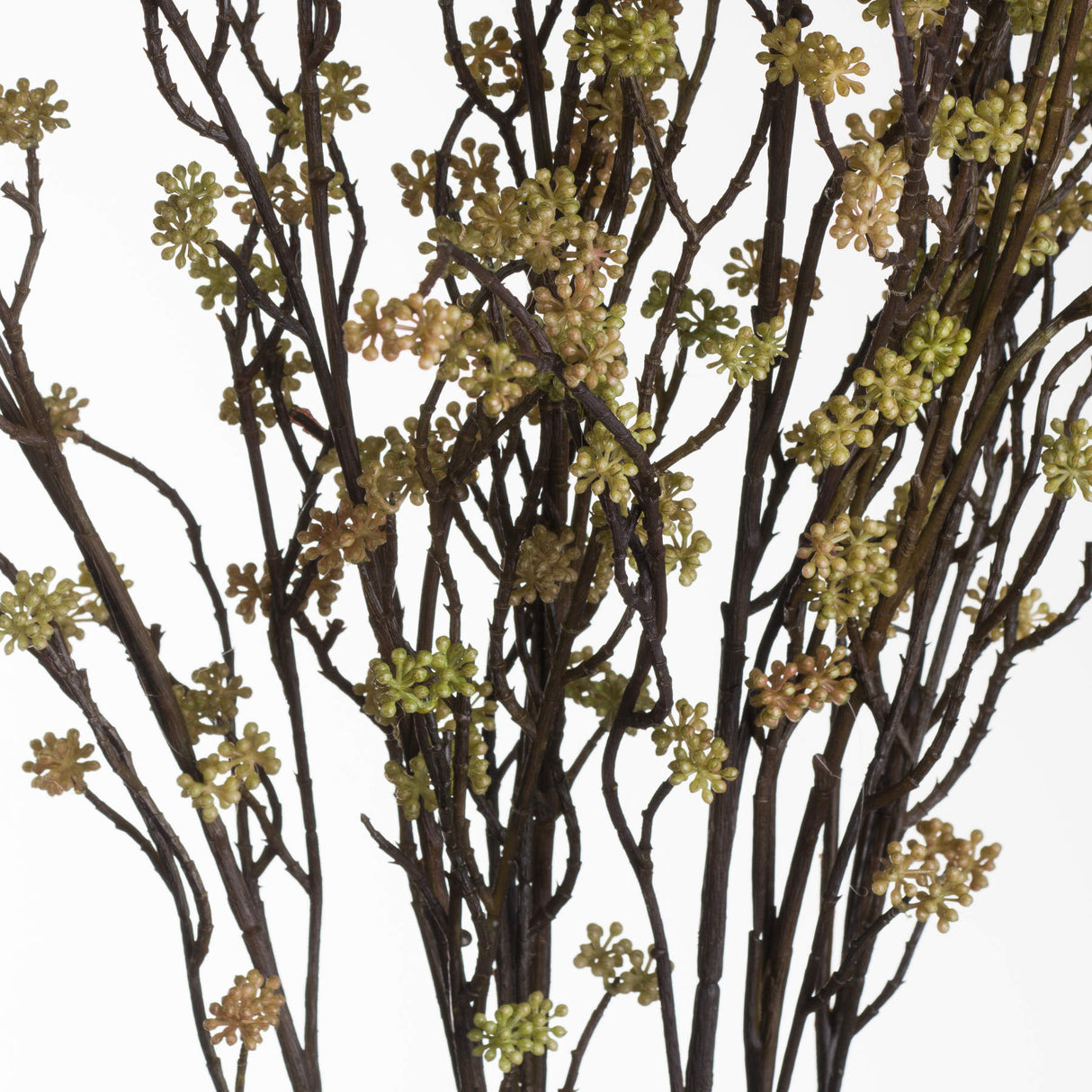 branch in bloom filler