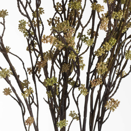 branch in bloom filler