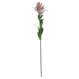 stargazer lily