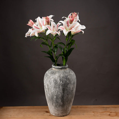 stargazer lily
