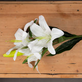 white lily