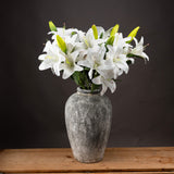 Lena White Lily