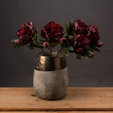 burgundy peony rose