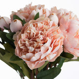 peach peony rose