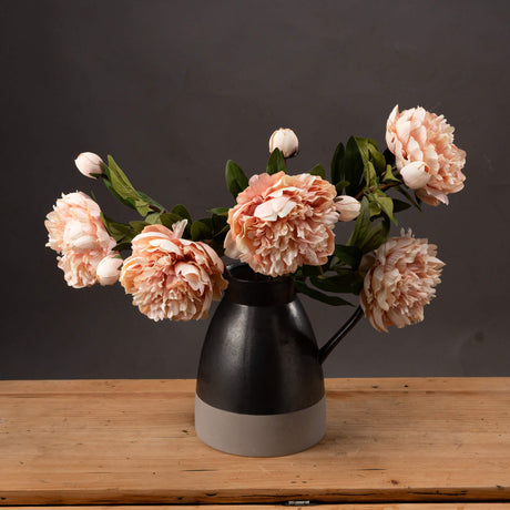 peach peony rose
