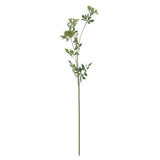 faux cow parsley ammi