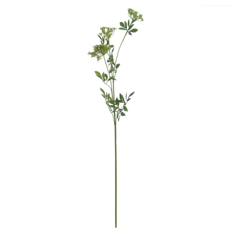 faux cow parsley ammi
