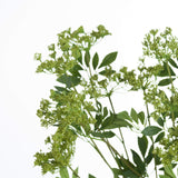 faux cow parsley ammi