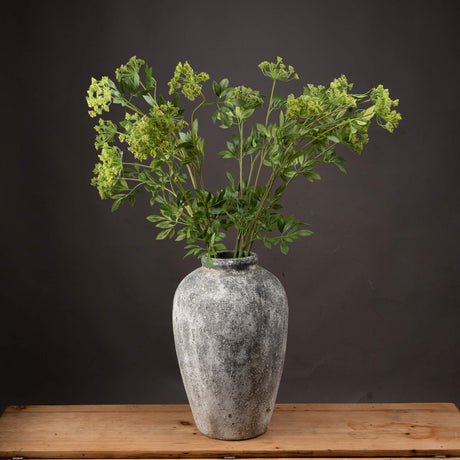 faux cow parsley ammi