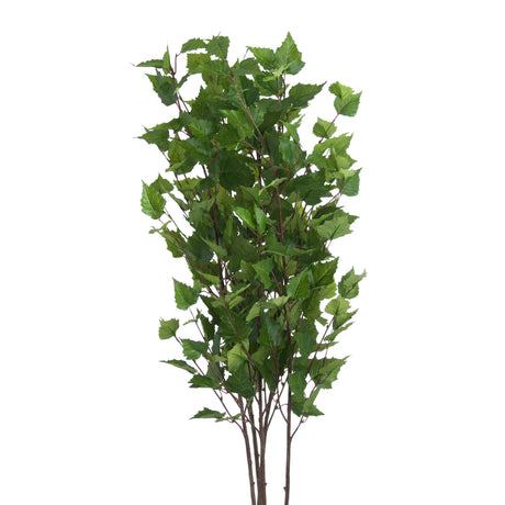 green branch spray