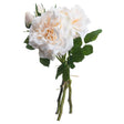 peachy cream short stem rose bouquet