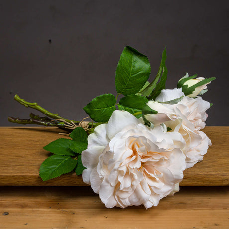 peachy cream short stem rose bouquet