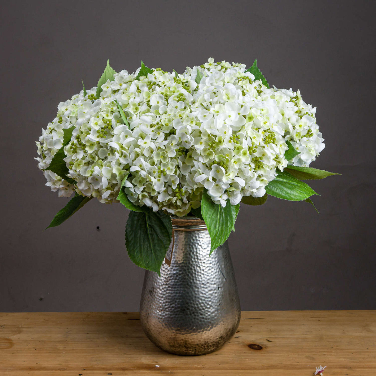 Veronique White Lace Cap Hydrangea
