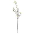 white cherry blossom spray
