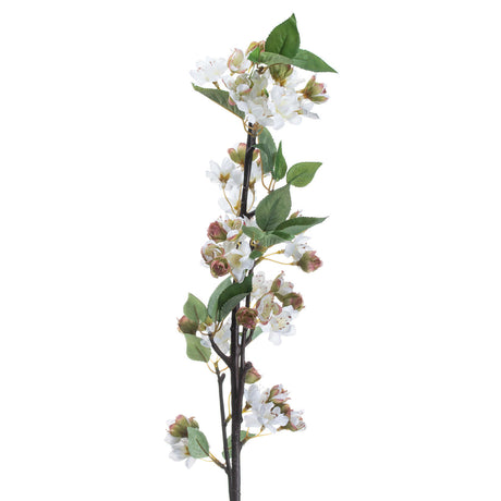 english blossom branch