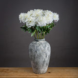 classic white peony