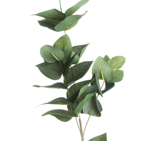 eucalyptus filler