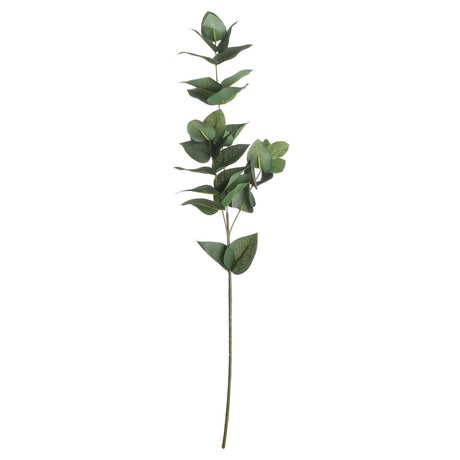 eucalyptus filler