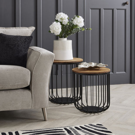 single white hydrangea