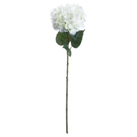 single white hydrangea