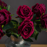 deep red rose