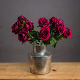 Chantal Deep Red Rose