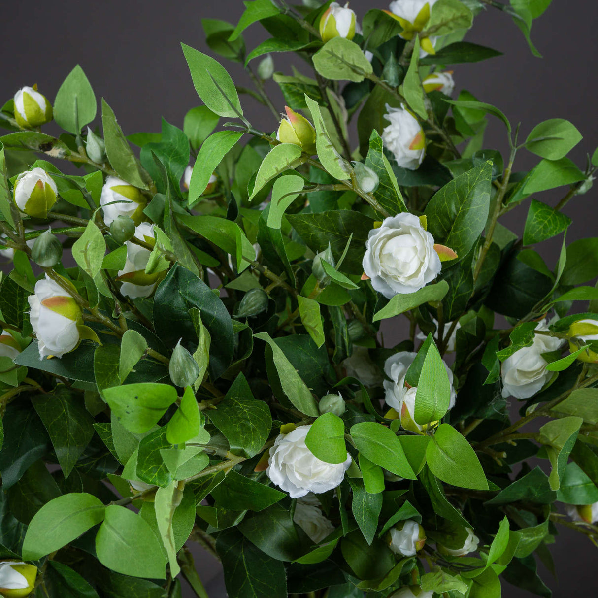 cream gardenia stem