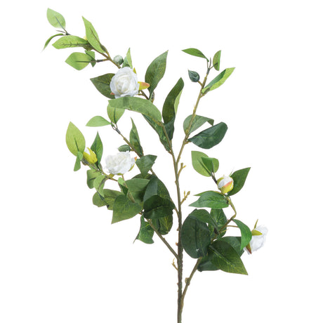 cream gardenia stem