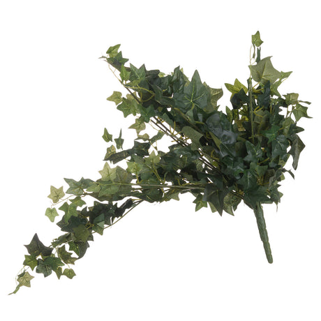 ivy pick