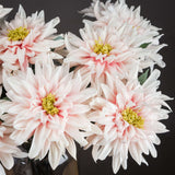 lush pink dahlia