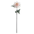 lush pink dahlia