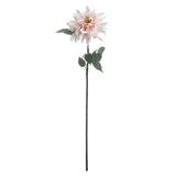 lush pink dahlia