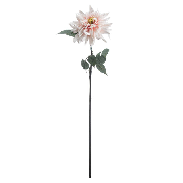 lush pink dahlia