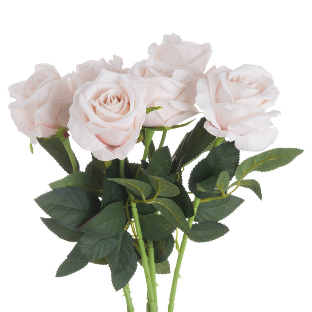 pastel pink tea rose