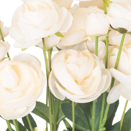 cream ranunculus