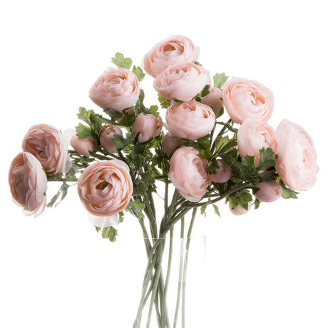 pastel pink ranunculus