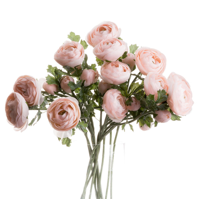 pastel pink ranunculus