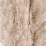 cream pampas grass