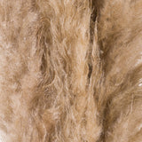 butter pampas grass