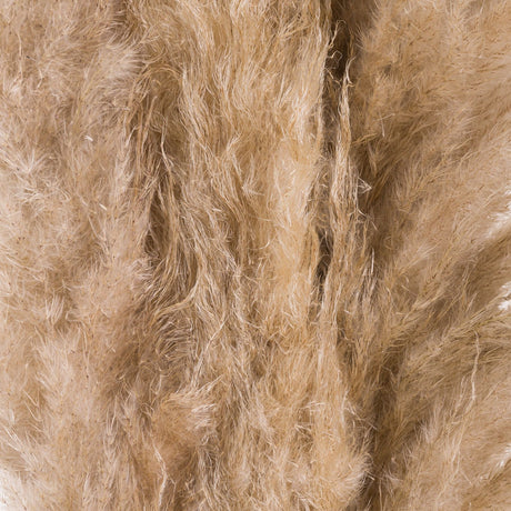 butter pampas grass