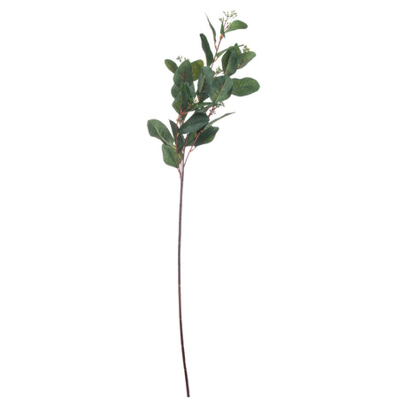 summer seeded eucalyptus