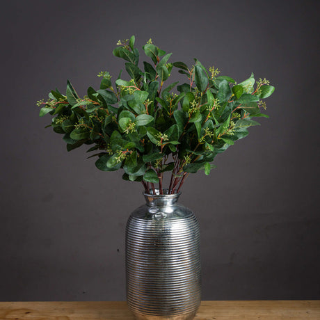summer seeded eucalyptus