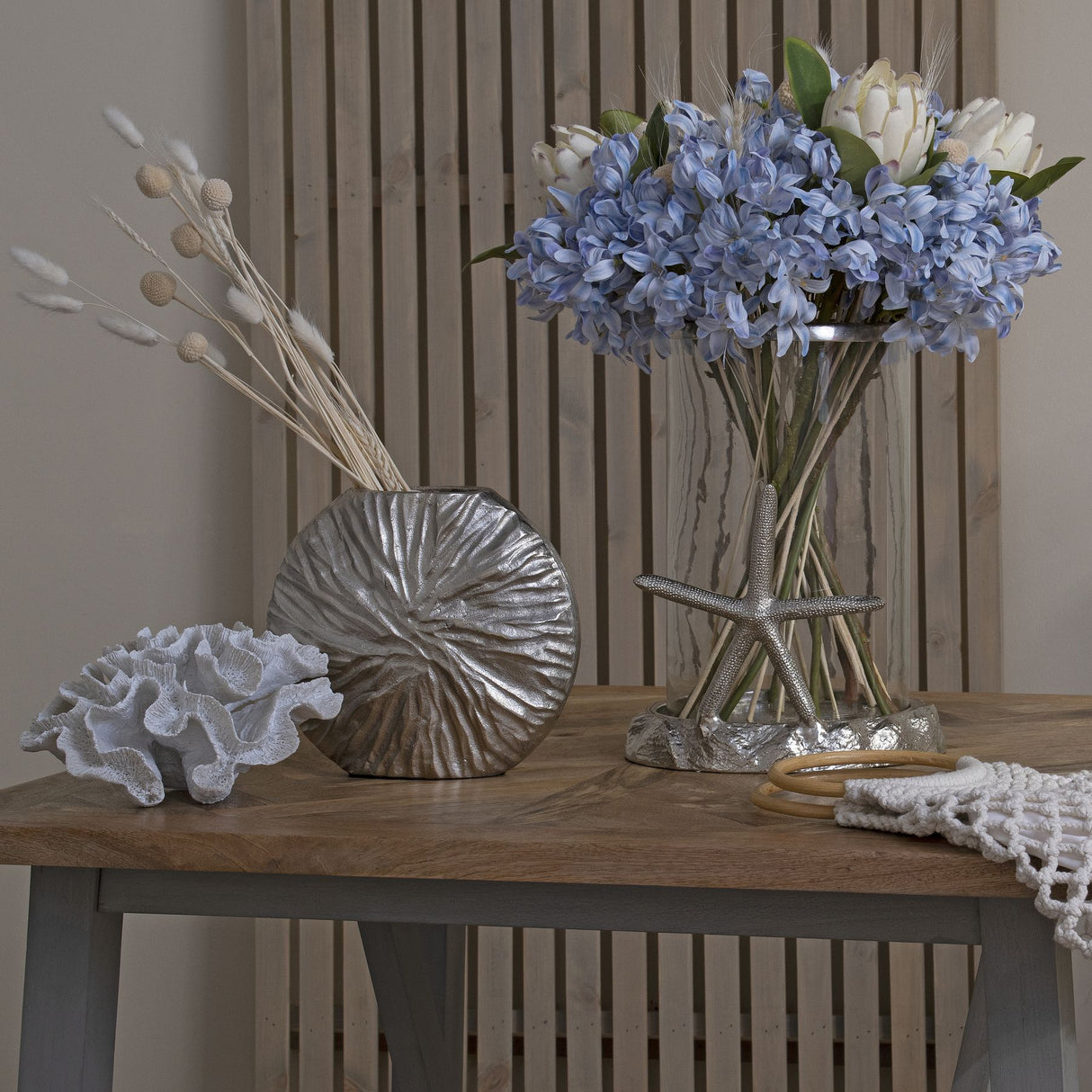 light blue large headed agapanthus