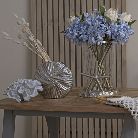 light blue large headed agapanthus