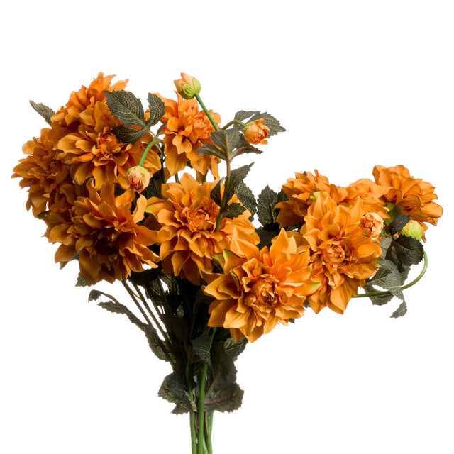 orange dahlia spray