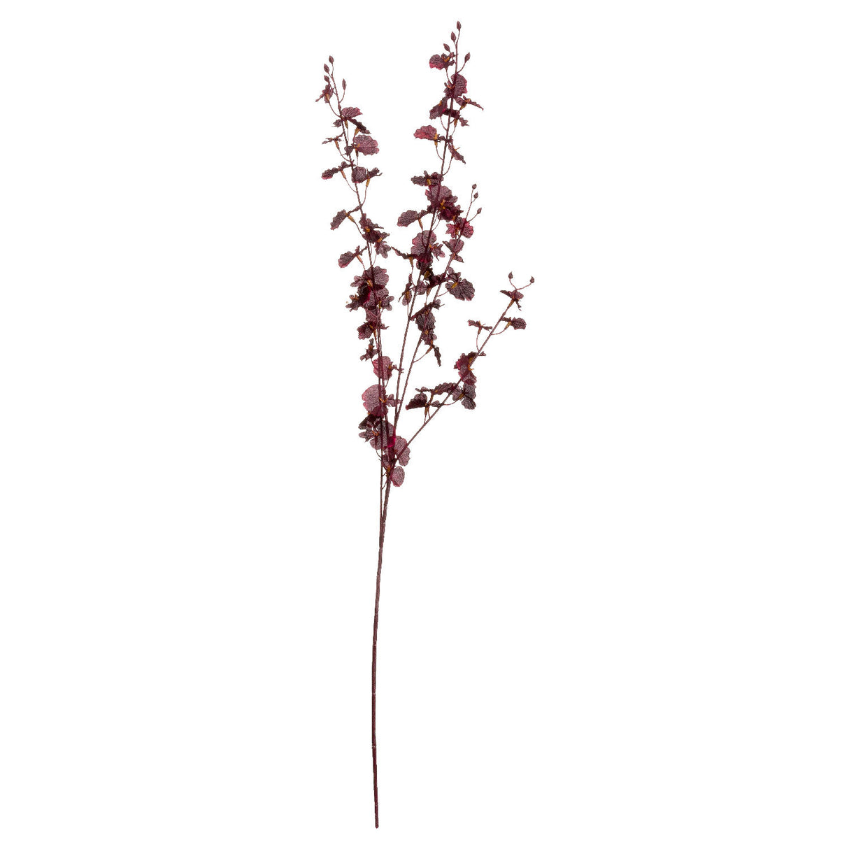 deep burgundy orchid spray