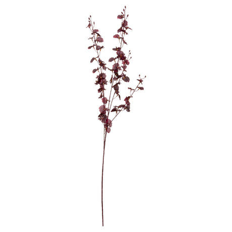 deep burgundy orchid spray